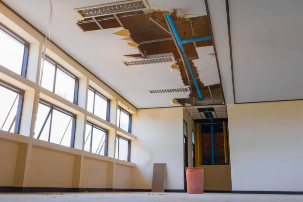 Best Water damage cleanup near me  in Ronan, MT