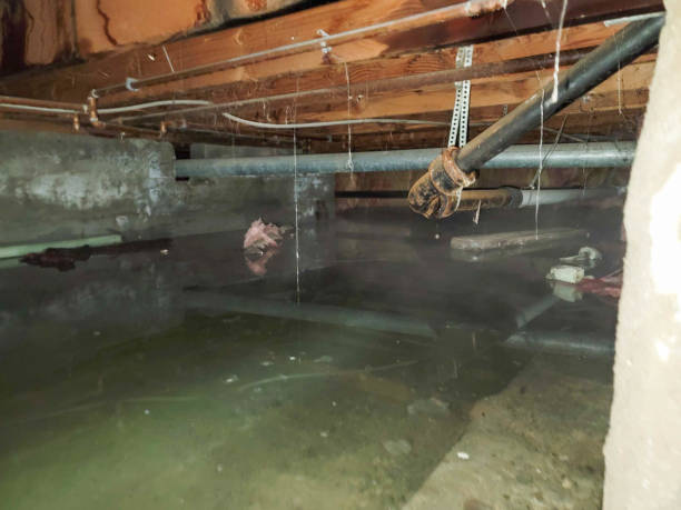 Best Emergency water damage restoration  in Ronan, MT