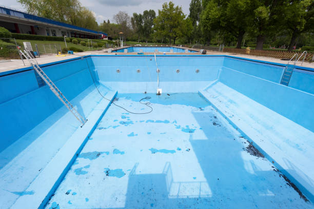 Best Mold removal after water damage  in Ronan, MT