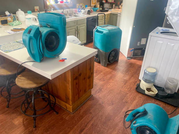 Best Flooded house restoration  in Ronan, MT