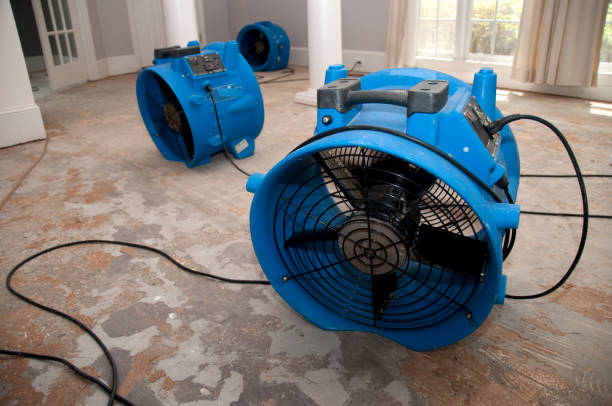 Best Local water damage restoration  in Ronan, MT