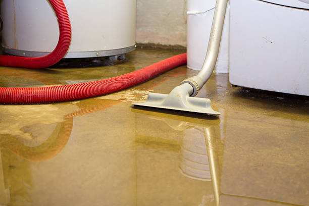 Best Water damage restoration mold remediation  in Ronan, MT