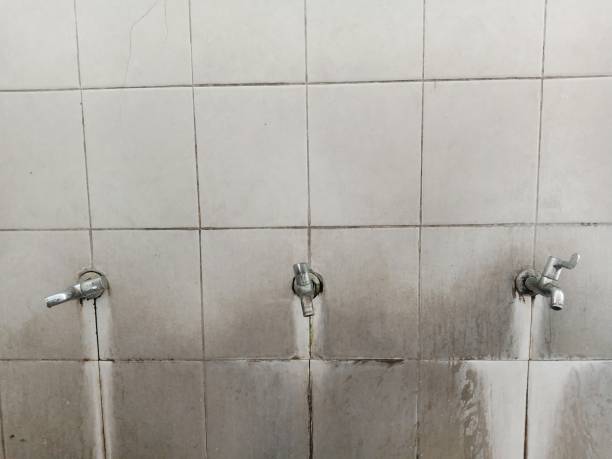 Best 24/7 water damage repair  in Ronan, MT