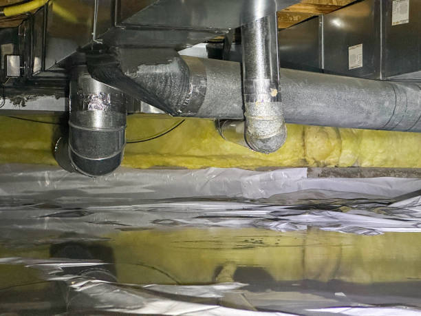 Best Water damage restoration near me  in Ronan, MT