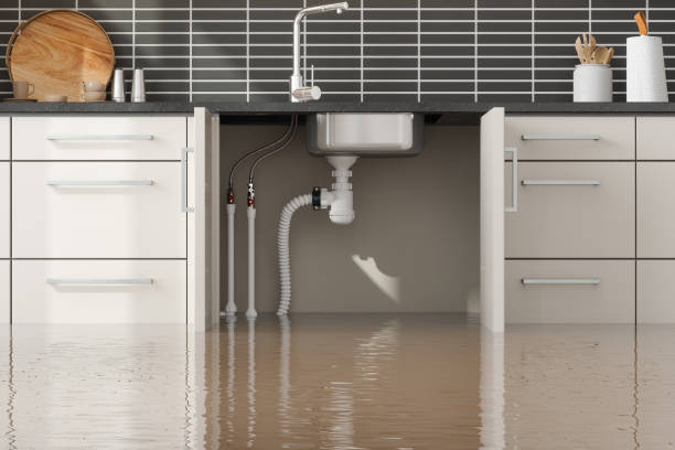 Best Mold removal after water damage  in Ronan, MT