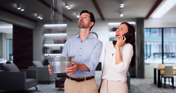Best Water damage restoration mold remediation  in Ronan, MT
